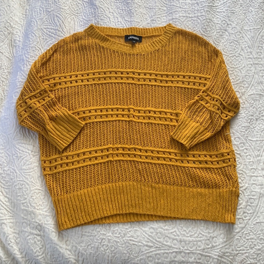 Express Over Sweater